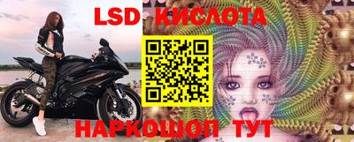 МДПВ Новозыбков