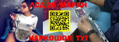 МДПВ Новозыбков