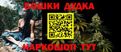 МДПВ Новозыбков