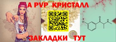 МДПВ Новозыбков